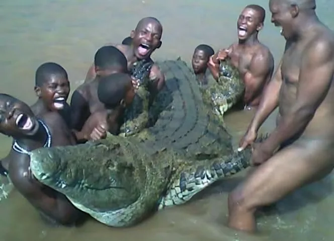 Анальды тығынның құйрығы