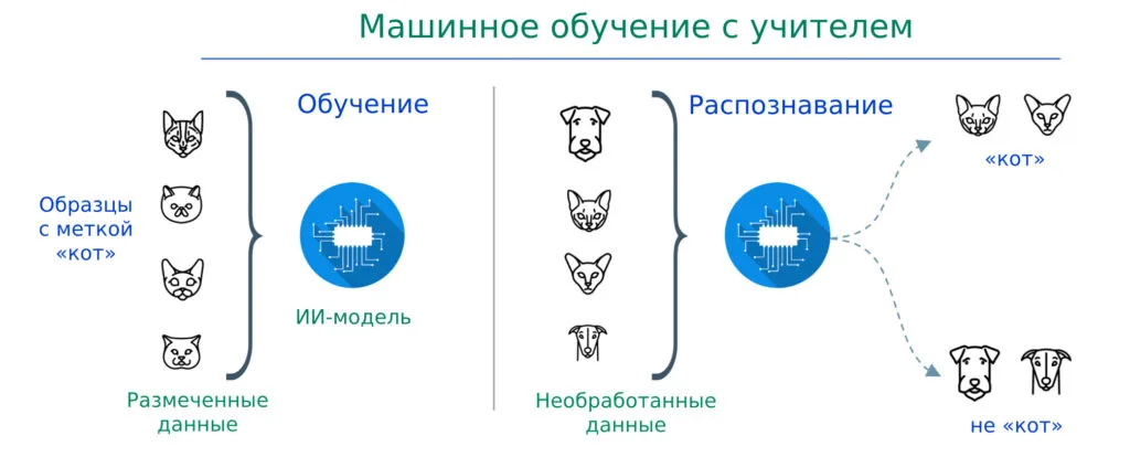 Machine learning with supervision